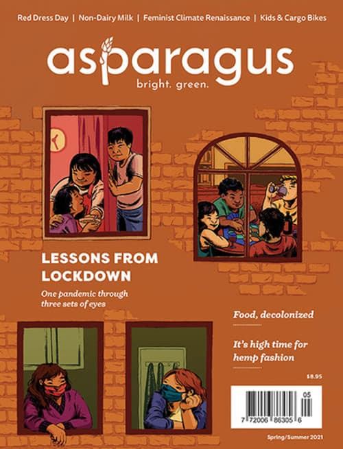 The Spring/Summer 2021 cover of Asparagus Magazine, featuring an illustration of 4 windows showing people in Covid lockdown.