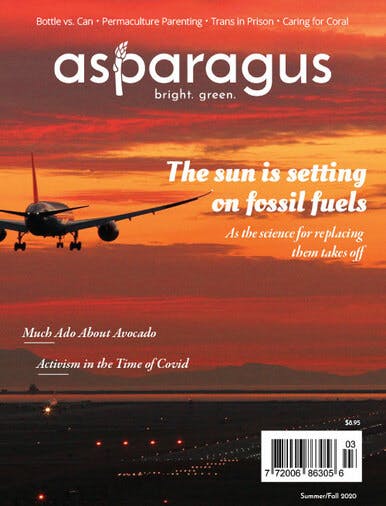 The Summer/Fall 2020 cover of Asparagus Magazine. It features a plane landing on airport tarmac facing a deep red sunset.