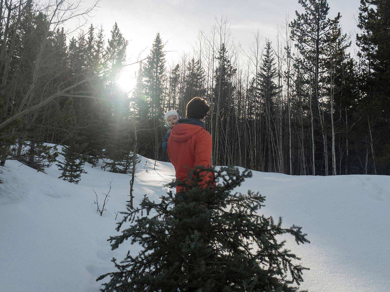 A man stands facing away in a snowy forest clearing, holding a baby in a wool hat whose face peeks over the man’s shoulder.