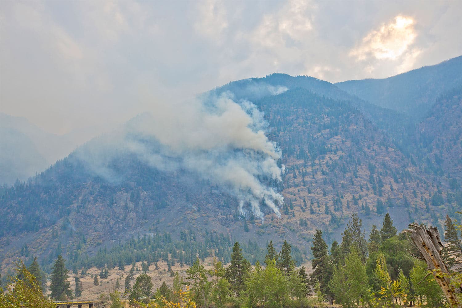 Thick columns of white smoke rise from a sparsely-forested mountainside in BC.