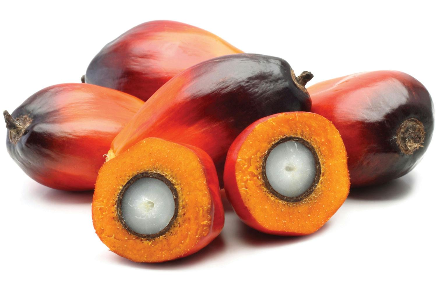 5 palm fruits. They’re oval with a red-to-black gradient peel. One is cut, showing a orange flesh with a waxy white core.