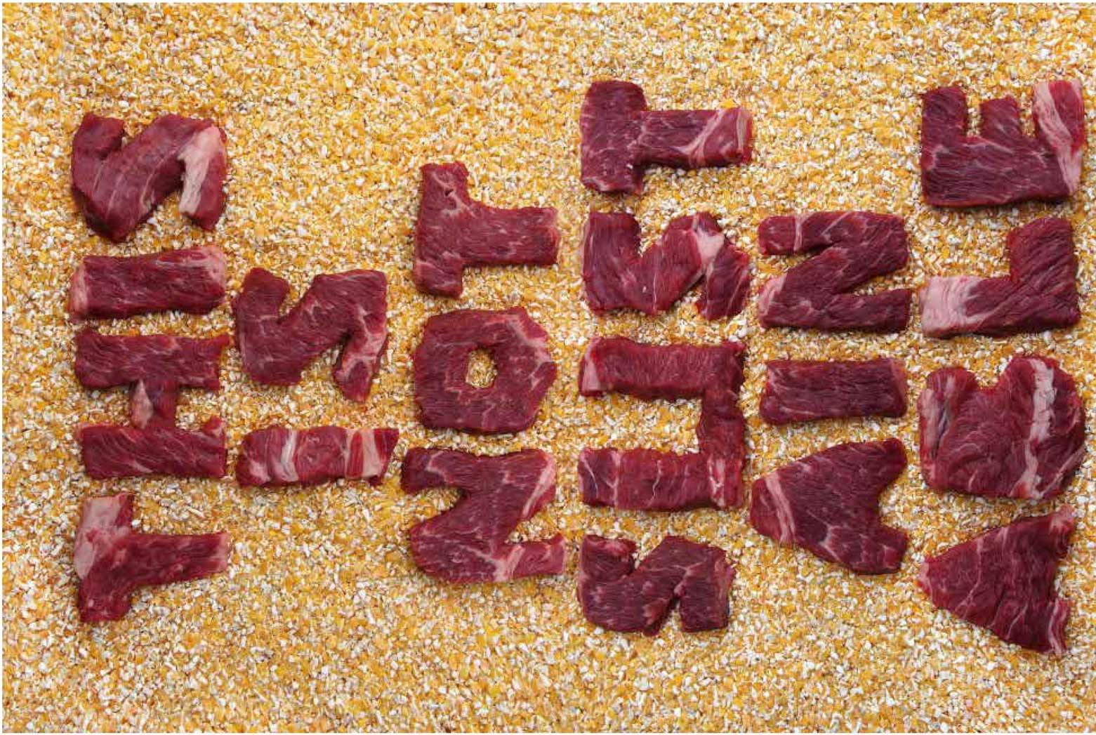 Pieces of beef cut into letters that spell "This is not sustainable" arranged on a backdrop of animal feed.