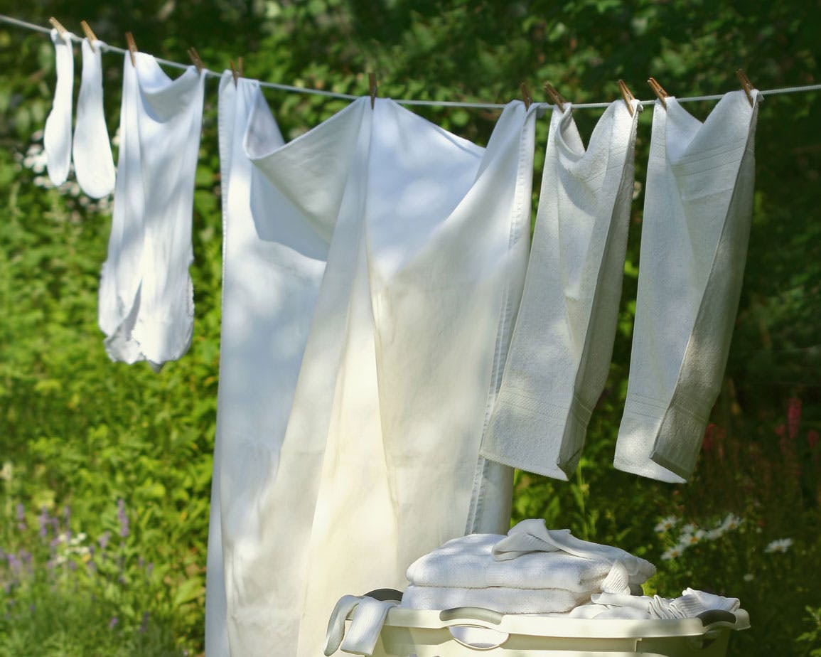 White towels, sheets, and socks hang to dry on a line in front of a big green shrub.